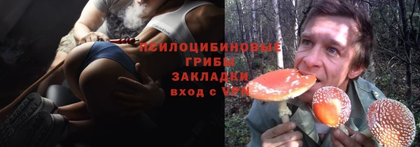 прущая мука Алзамай