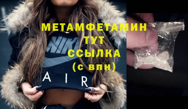 сатива Няндома