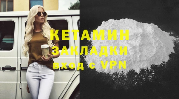 сатива Няндома